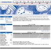  HYIP Manager Pro Template