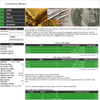  HYIP Manager Pro Template